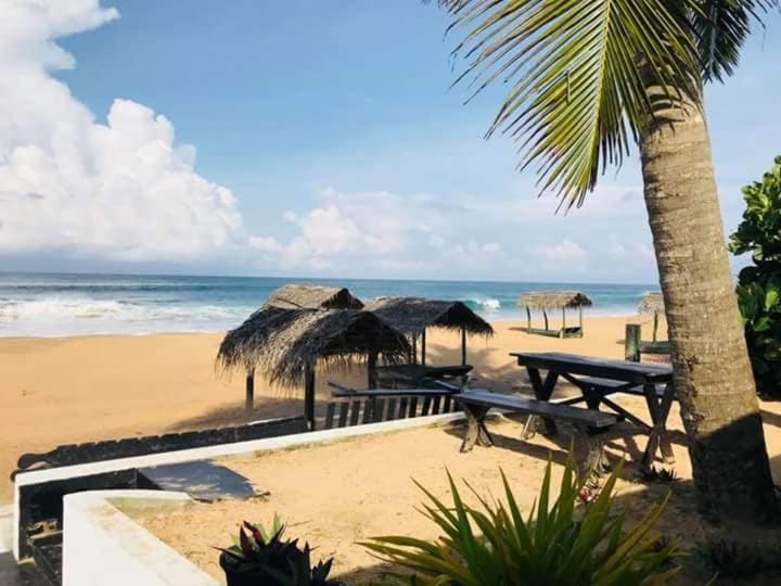 Sea Shine Guest House Hikkaduwa Extérieur photo